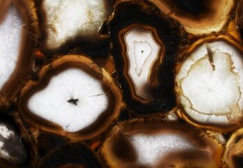 Agatona Giant Detail Backlit