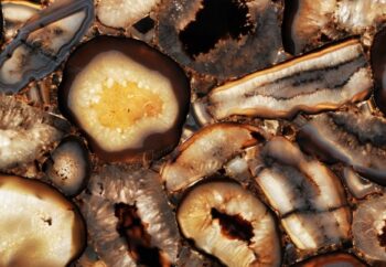 Chocolate Detail Backlit