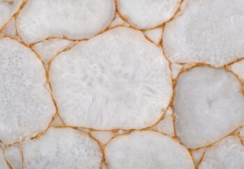 Crystal Giant Detail