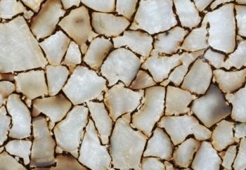 Crystal Small Detail Backlit