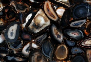 Hypnosis Detail Backlit