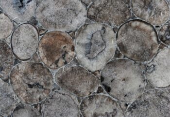 Moon with Silver Detail