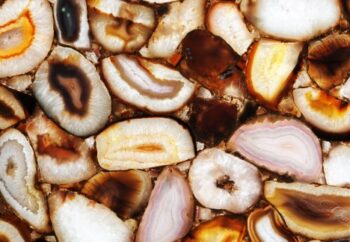 Natural Detail Backlit