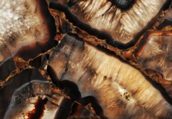 Phoenix Gold Dark Giant Detail Backlit