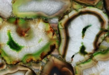 Sabara Light Giant Detail Backlit