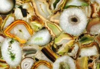 Sabara Detail Backlit