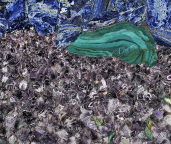 The Field with Irises Detail