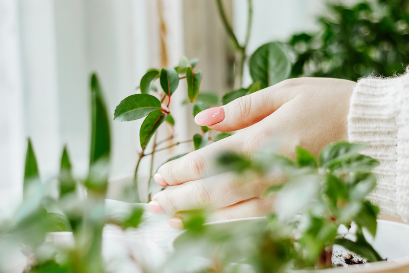 The GFA Global cares for the environment